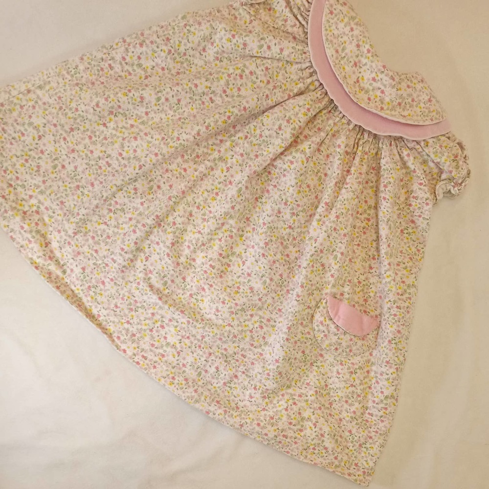 VTG Daises & Doodlebug Flannel Dress 6-9